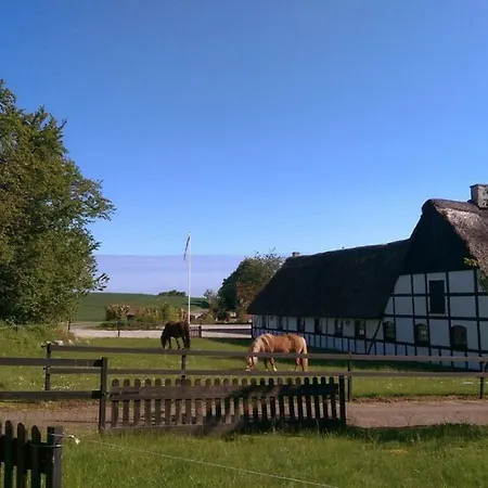 Bed and breakfast Stenegegaard Kursuscenter Og Hundslund
